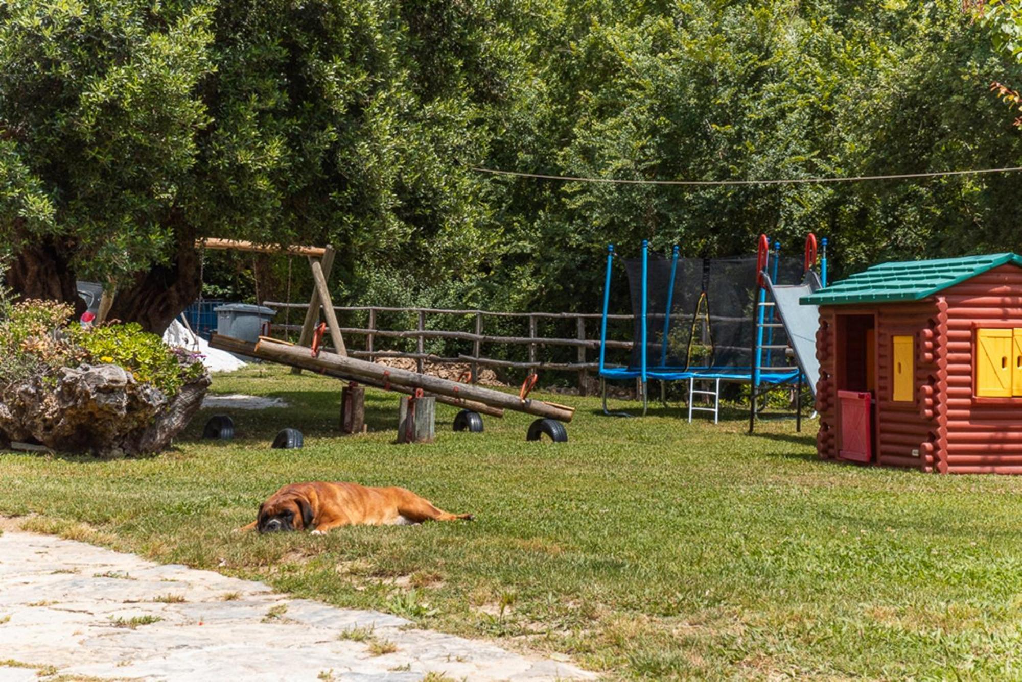Agriturismo San Basilio Salento Dış mekan fotoğraf