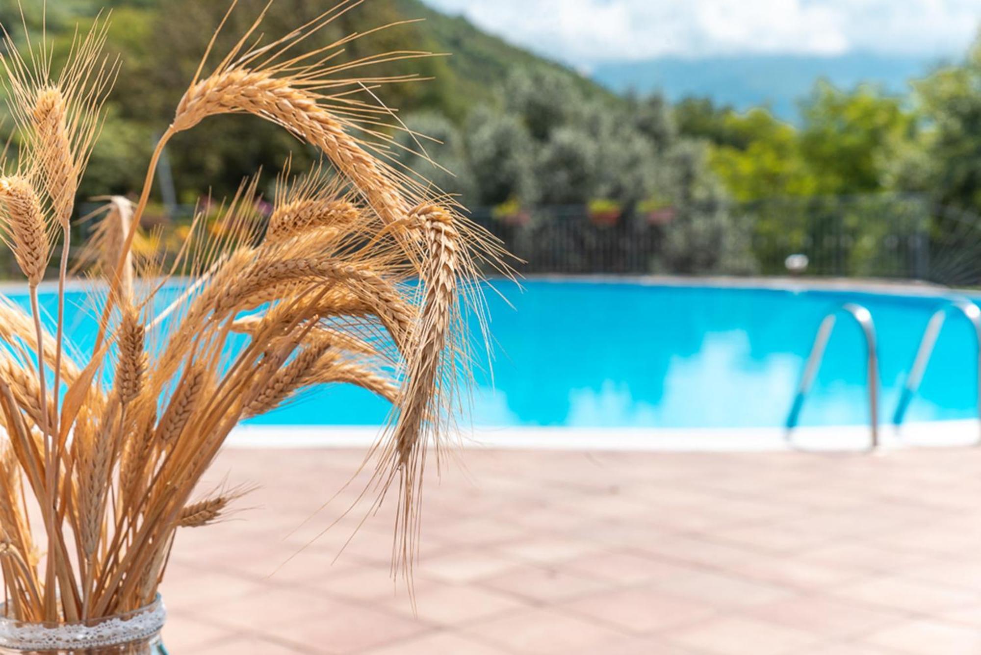 Agriturismo San Basilio Salento Dış mekan fotoğraf