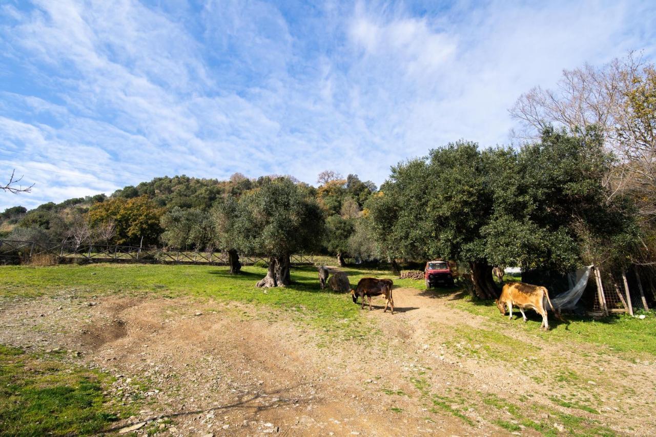 Agriturismo San Basilio Salento Dış mekan fotoğraf